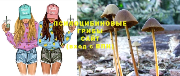 прущая мука Киреевск