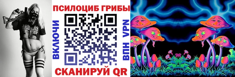 Псилоцибиновые грибы MAGIC MUSHROOMS  Купить где  Дно 
