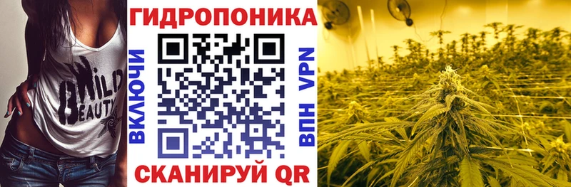 Купить где  Дно  Канабис VHQ 